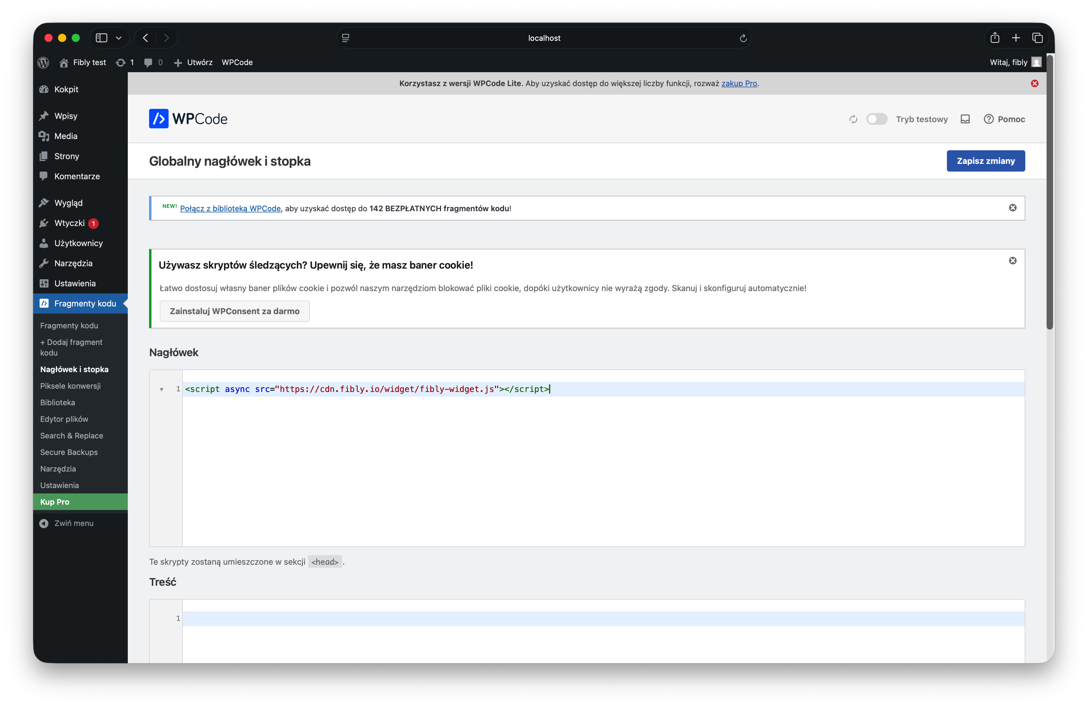 WPCode plugin configuration in WordPress